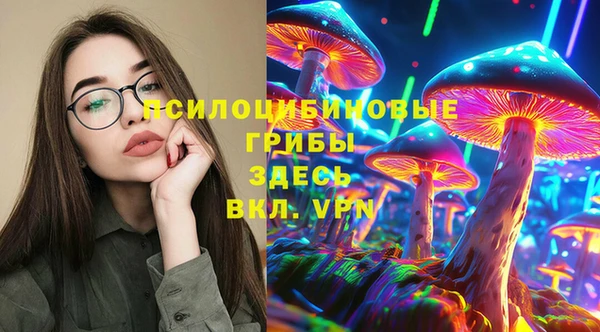 ГАЛЛЮЦИНОГЕННЫЕ ГРИБЫ Абдулино