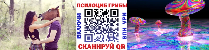 OMG tor это как зайти Псилоцибиновые грибы прущие грибы закладка Уржум